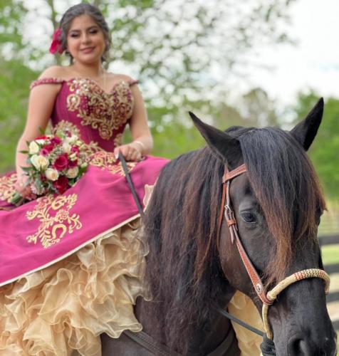 Quinceañeras Gallery